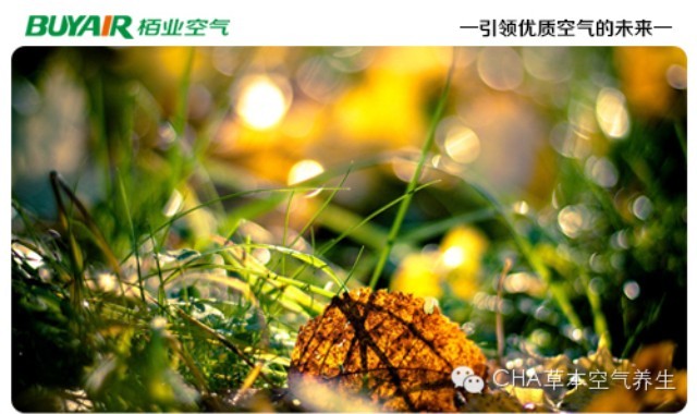 步入秋天，空氣凈化器不可或缺