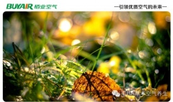 步入秋天，空氣凈化器不可或缺